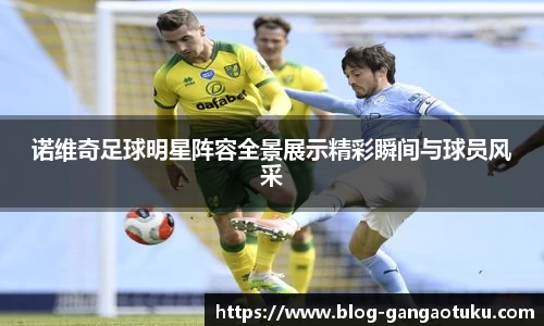 诺维奇足球明星阵容全景展示精彩瞬间与球员风采